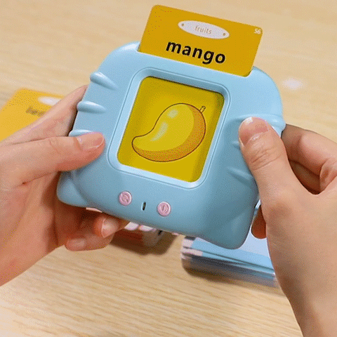 Talking Flash Cards Educational Toy with 120 Card